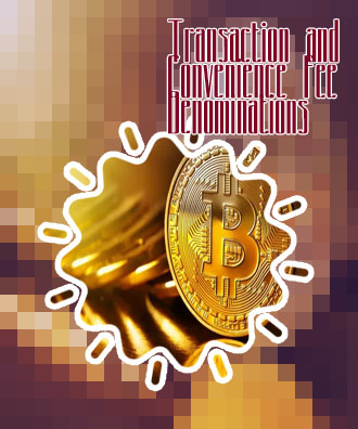 Bitcoin transaction fee for $100 dollars