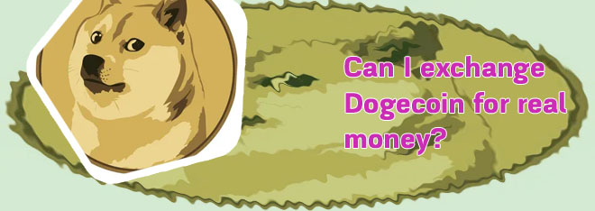 Platforms for dogecoin