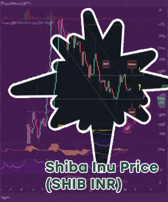 Shib cryptocurrency price